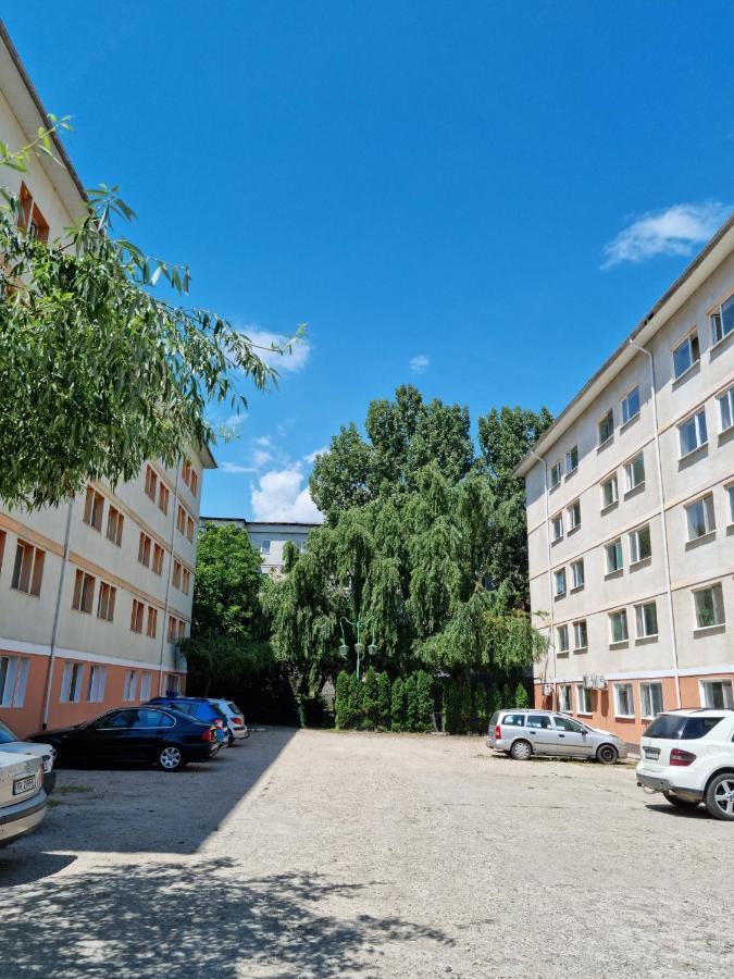 Apartament Garsoniere Aby Turnu Măgurele Zewnętrze zdjęcie