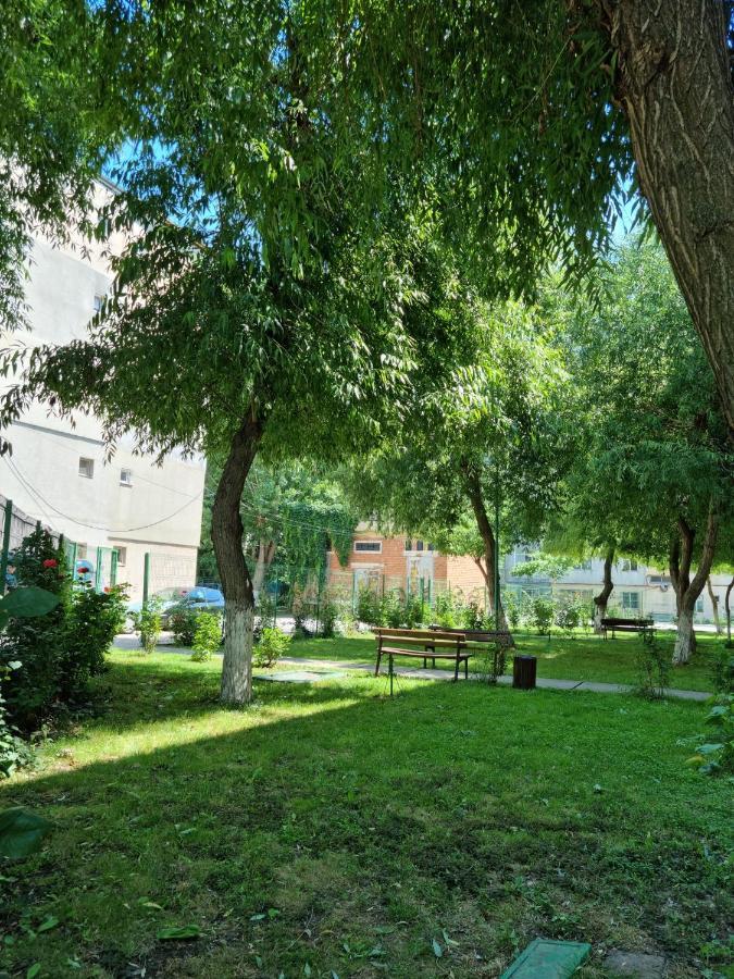 Apartament Garsoniere Aby Turnu Măgurele Zewnętrze zdjęcie